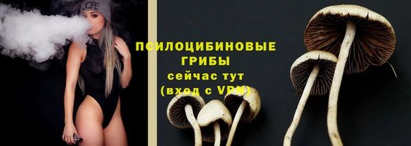Альфа ПВП Киреевск