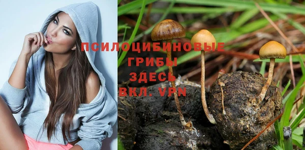 Альфа ПВП Киреевск